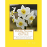 Daffodils, Narcissus and How To Grow Them: Hardy Plants For Cut Flowers With a Guide To Varieties of Daffodils and Narcissus