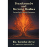 Breadcrumbs and Burning Bushes: Tracing God's Clues and Encounters