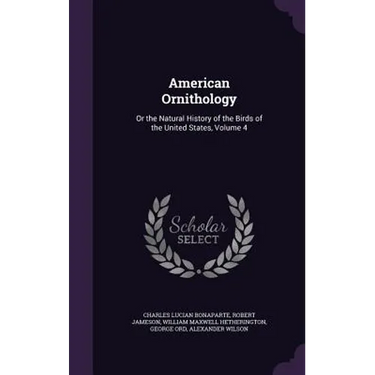 American Ornithology: Or the Natural History of the Birds of the United States, Volume 4