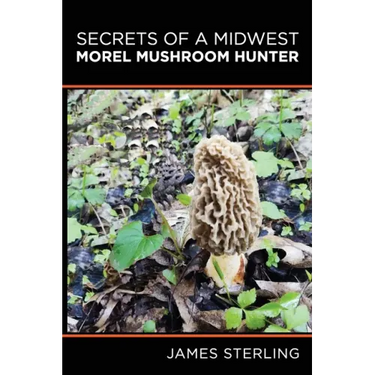 Secrets of a Midwest Morel Mushroom Hunter