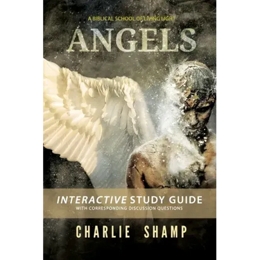 Angels Workbook: A Biblical School of Living Light