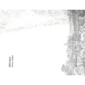 Rhizomes