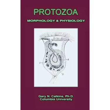 Protozoa Morphology & Physiology (Microbiology Series)