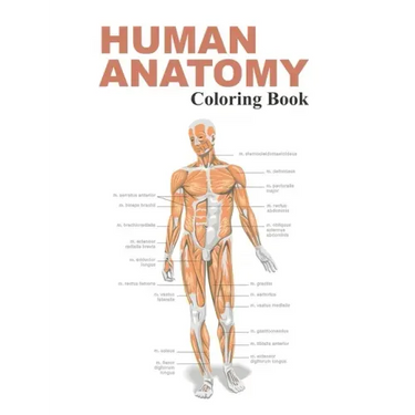 Human Anatomy Coloring Book: The Anatomy Coloring Book