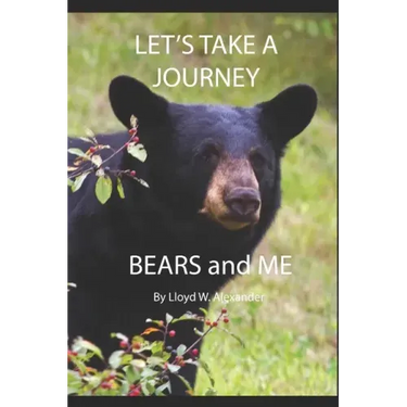 Let's Take A Journey: Bears and ME