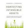 Harvesting Intangible Assets: Uncover Hidden Revenue in Your Company's Intellectual Property