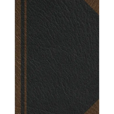 Notary Journal: Hardbound Public Record Book for Men Women, Logbook for Notarial Acts, 390 Entries, 8.5" x 11", Black Brown Blank Cove
