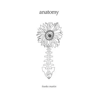 Anatomy