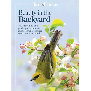 Birds & Blooms Beauty in the Backyard: 300+ Tips, Hints and Garden Greats to Create an Outdoor Space You Can Appreciate Year-Round
