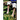Fighting Kudzu