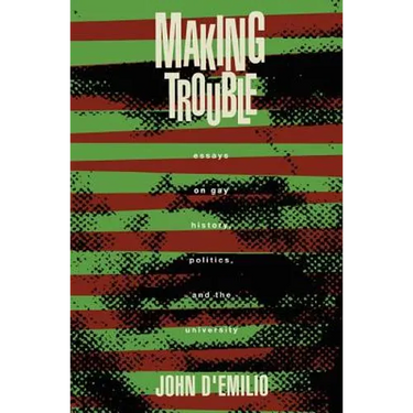 Making Trouble: Essays on Gay History, Politics, and the University