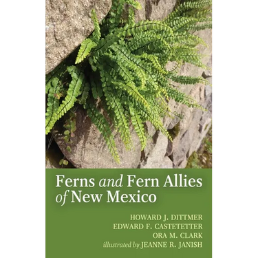 The Ferns and Fern Allies of New Mexico