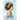 The American Countess