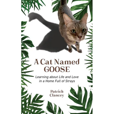 A Cat Named Goose: Learning about Life and Love in a Home Full of Strays