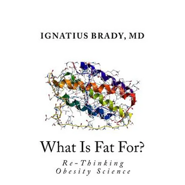 What Is Fat For?: Re-Thinking Obesity Science