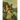 Raja Ravi Varma: An Everlasting Imprint - A Resonant Impression - Volume 2