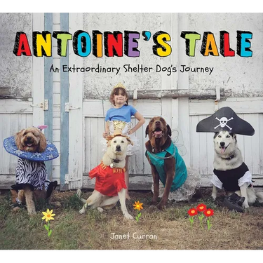 Antoine's Tale: An Extraordinary Shelter Dog's Journey