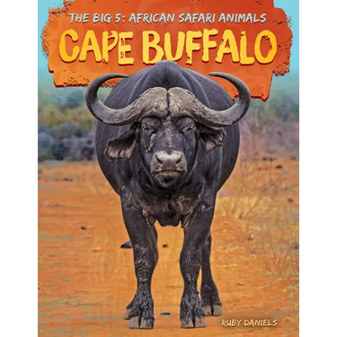 Cape Buffalo
