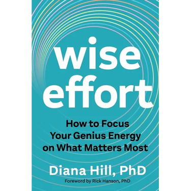 Wise Effort: How to Focus Your Genius Energy on What Matters Most