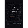 The Cybernetic Brain: Sketches of Another Future