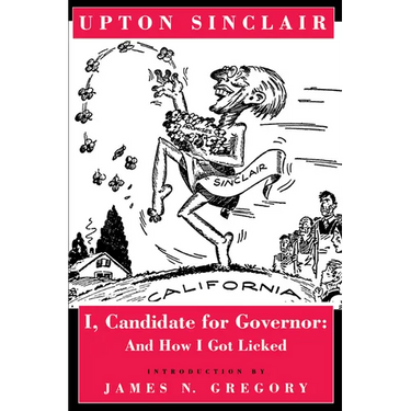 I, Candidate for Governor: And How I Got Licked