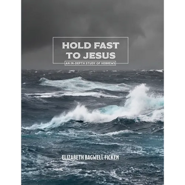 Hold Fast to Jesus: An in-depth study of Hebrews