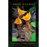 Small Wonders