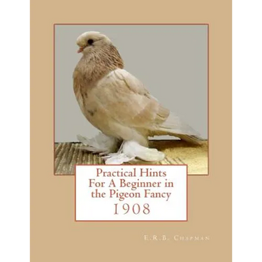 Practical Hints For A Beginner in the Pigeon Fancy