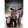Animals, Fish and Birds, Oh My! Life In The Borneo Jungle - Curious Kids Press: Kids book about animals and wildlife, Children's books 4-6