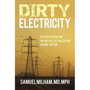 Dirty Electricity: Electrification and the Diseases of Civilization