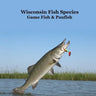 Wisconsin Game Fish and Panfish Species Kids Book: Great Book About the Different Types of Fish in Wisconsin