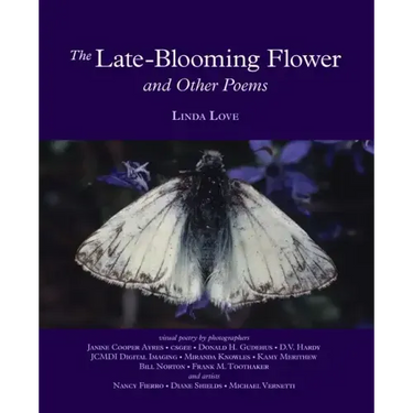 The Late-Blooming Flower and other poems
