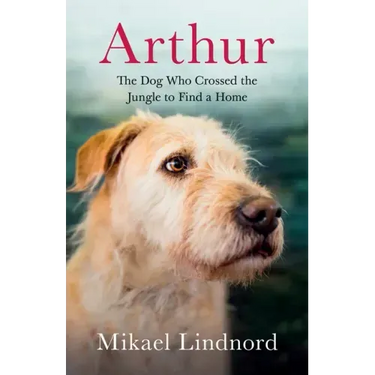 Arthur: The Dog Who Crossed the Jungle to Find a Home