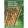 There are queen cells in my hive: - what should I do?