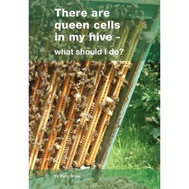 There are queen cells in my hive: - what should I do?