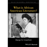 What is African American Literature?