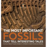 The Most Important Fossils That Tell Interesting Tales Curious About Fossils Grade 5 Children's Earth Sciences Books