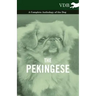 The Pekingese - A Complete Anthology of the Dog
