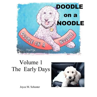 Doodle on a Noodle: VOLUME 1 The Early Days
