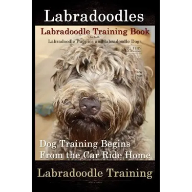 Labradoodles, Labradoodle Training Book for Both Labradoodle Dogs & Labradoodle Puppies By D!G THIS Dog Training: Dog Training Begins From the Car Rid