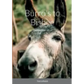 Burro's to Bisbee: Western Fiction Album