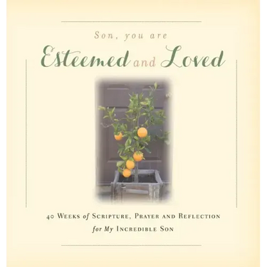 Son, You are Esteemed and Loved: 40 Weeks of Scripture, Prayer and Reflection for My Incredible Son