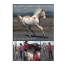 How to Identify and Release Your Horse's Pain Points: An Owner's Guide