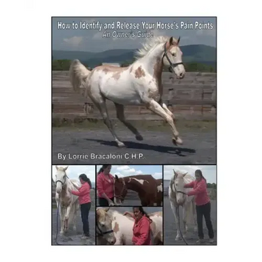 How to Identify and Release Your Horse's Pain Points: An Owner's Guide