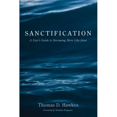 Sanctification: A User's Guide to Becoming More Like Jesus