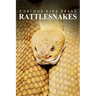 Rattle Snakes - Curious Kids Press: Kids book about animals and wildlife, Children's books 4-6