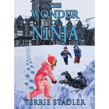 The Wonder of Ninja