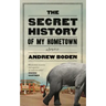 The Secret History of My Hometown