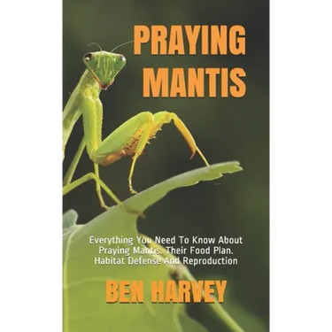 Praying Mantis: Everything You Need To Know About Praying Mantis. Their Food Plan. Habitat Defense And Reproduction