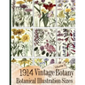1914 Vintage Botany Botanical Illustration Sizes